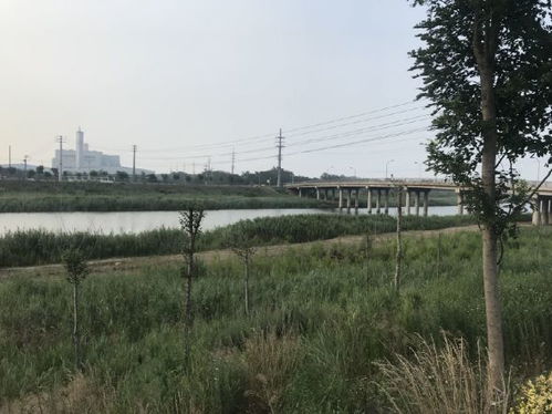 河道生态监测无人机多光谱遥感解决方案