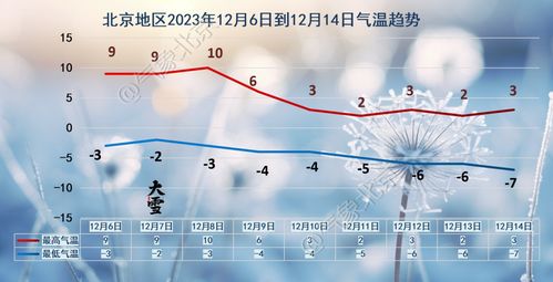 深夜风声惊醒的北京清晨 一线生态监测者的抗风记录