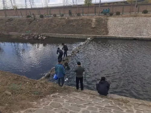 2019年丰台区环境监测报告出炉 生态环境稳步改善，生态监测成效凸显