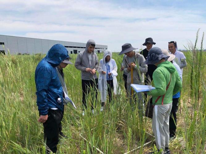 烟台市完成国家林草生态综合监测评价草地样地监测工作